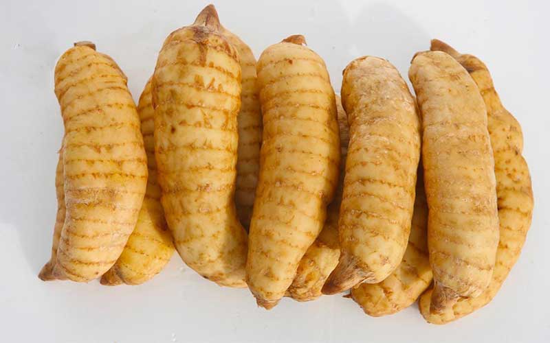 củ thiên ma hàn quốc tươi