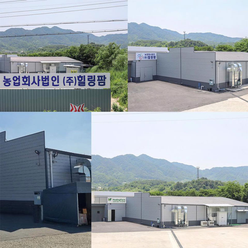 Toàn cảnh nhà máy đạt chuẩn tại Hàn Quốc, nơi sản xuất sản phẩm hỗ trợ điều trị khớp strong joint.